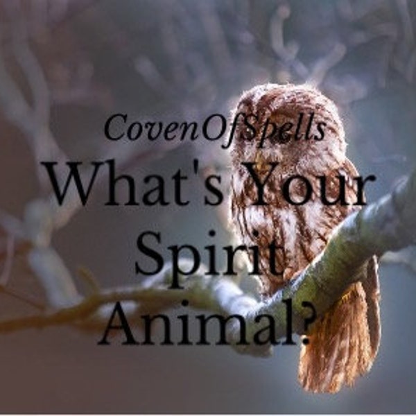 What Is Your Spirit Animal? - What Is Your Totem Animal?