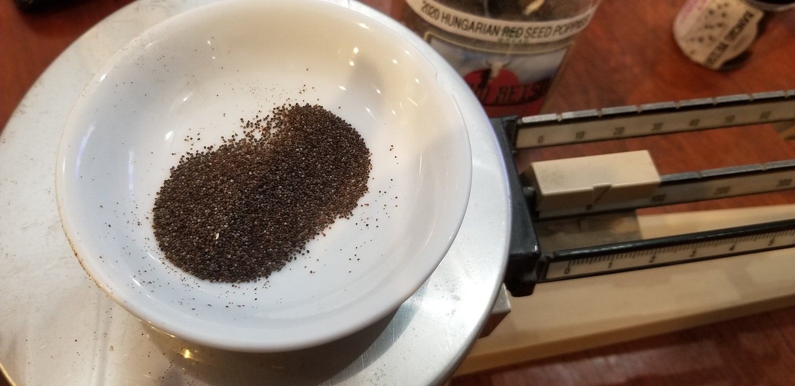 Hungarian Breadseed Poppy Seeds Etsy