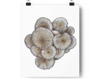 Mushroom Cluster Giclée Art Print MobiusMoon