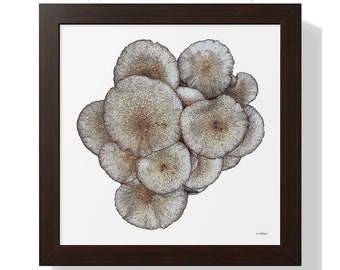 Mushroom Cluster Graphic Framed Print MobiusMoon