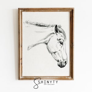 Vintage Horse Sketch Drawing, Nursery Wall Art, Animal Art Print, Neutral Wall Art, Minimalist Farmhouse Decor, PRINTABLE Digital Download