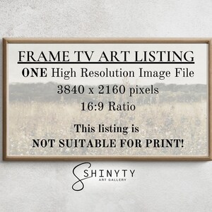 Puede incluir: Una imagen enmarcada que enumera un archivo digital de alta resoluci&oacute;n, adecuado para su uso en una pantalla de televisi&oacute;n. La imagen es de 3840 x 2160 p&iacute;xeles y tiene una relaci&oacute;n de aspecto de 16:9. El texto en la imagen dice "FRAME TV ART LISTING ONE High Resolution Image File 3840 x 2160 pixels 16:9 Ratio This listing is NOT SUITABLE FOR PRINT! SHINYTY ART GALLERY".