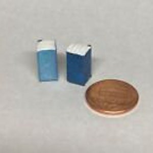 May include: Two miniature blue books with white spines, next to a US penny for scale.
