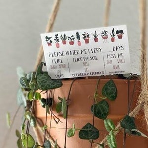 Vul in: Plantenverzorgingskaart op maat (10 stuks) Kamerplanthulp, Huiszittende Plantenkaarten, Plantenverzorging, Plantplanning