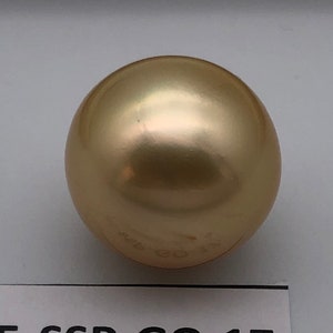 Perla rara de 17 mm Perla DORADA de los mares del sur, perla muy grande