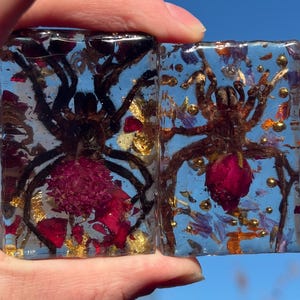 May include: Two clear resin blocks, each encasing a large spider, dried flowers, and gold flakes. The spiders are dark brown with visible legs and bodies. The flowers are red and purple, set against a blue background.