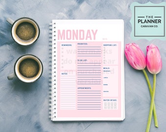 Detailed Daily Planner | Day Planner | Template | Productivity Planner | Work Day Organizer | Printable Planner | Instant Download | PDF