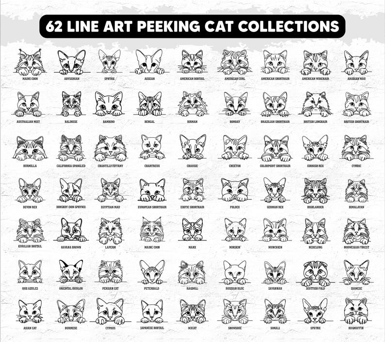 May include: A collection of 62 line art illustrations of peeking cats, each with a different breed name below. The illustrations are in black and white, with a variety of cat breeds, including Maine Coon, Persian, and Siamese.
