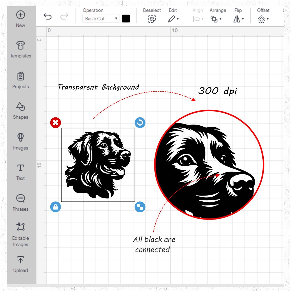 Golden Retriever Laser Cut SVG Bundle of 10 Designs for Cricut and ...