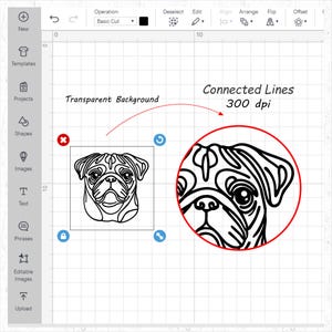 May include: Black and white line art illustration of a pug dog's face. The image is set against a white background and has the text "Connected Lines 300 dpi" written above it.