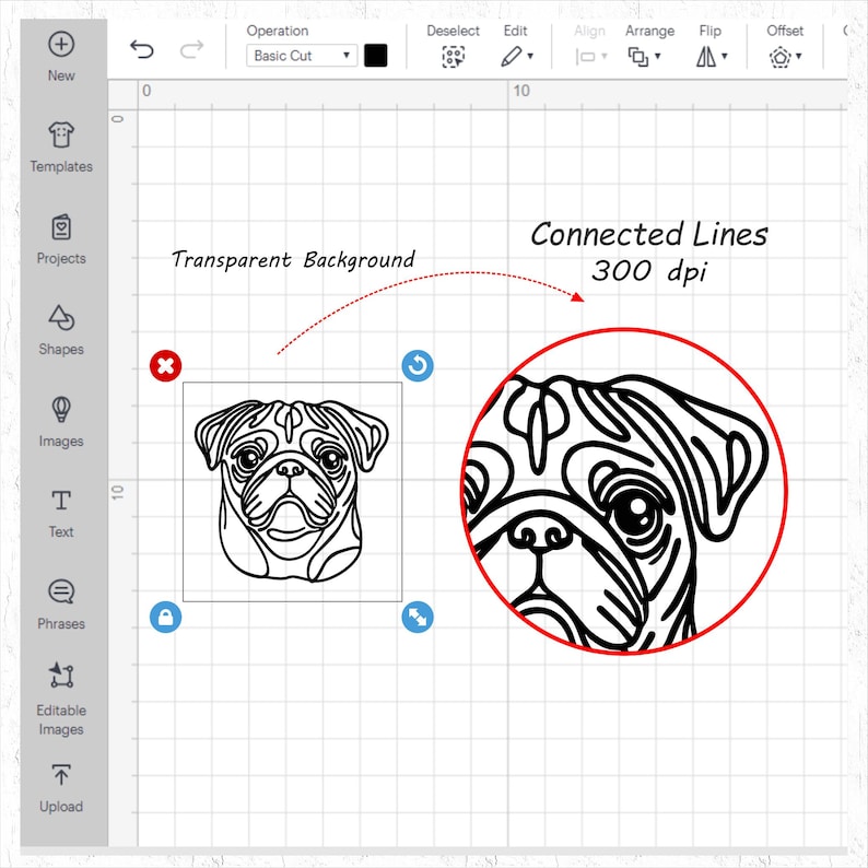 May include: Black and white line art illustration of a pug dog's face. The image is set against a white background and has the text "Connected Lines 300 dpi" written above it.