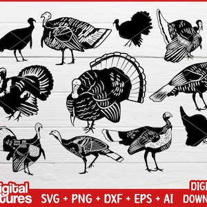 Bundle Türkei Clipart - Türkei Svg, Türkei Svg, Türkei Svg, PNG, Plotterdatei, Plotterdatei, Vektor for Turkey Lovers