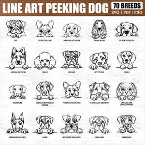 Puede incluir: Ilustraciones en l&iacute;nea de varias razas de perros, como un pug, un bulldog franc&eacute;s y un labrador retriever. La imagen presenta el texto "LINE ART PEEKING DOG 70 BREEDS" y las opciones de archivo SVG, PDF y PNG.