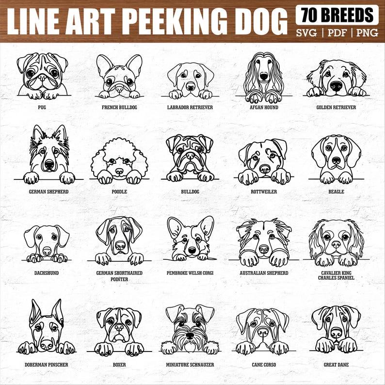 Puede incluir: Ilustraciones en l&iacute;nea de varias razas de perros, como un pug, un bulldog franc&eacute;s y un labrador retriever. La imagen presenta el texto "LINE ART PEEKING DOG 70 BREEDS" y las opciones de archivo SVG, PDF y PNG.