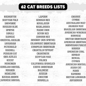 May include: A black and white graphic lists 62 cat breeds. Breeds include Ragamuffin, Scottish Fold, Snowshoe, Russian Blue, Sphynx, Siamese, Maine Coon, Devon Rex, Cornish Rex, and more. The text is in a bold, sans-serif font.