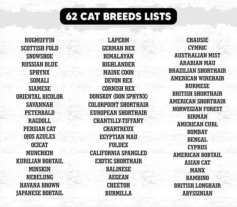 May include: A black and white graphic lists 62 cat breeds. Breeds include Ragamuffin, Scottish Fold, Snowshoe, Russian Blue, Sphynx, Siamese, Maine Coon, Devon Rex, Cornish Rex, and more. The text is in a bold, sans-serif font.
