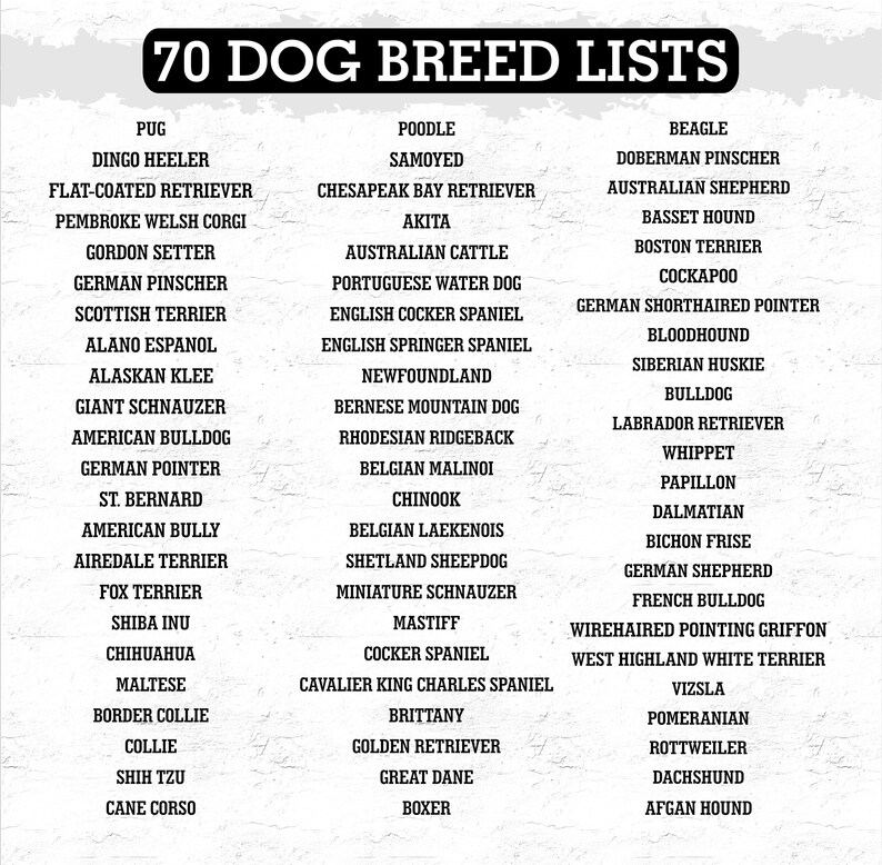 Puede incluir: Una lista de 70 razas de perros, incluyendo Pugs, Caniches, Beagles, y m&aacute;s. El t&iacute;tulo "70 LISTAS DE RAZAS DE PERROS" est&aacute; en negrita, en negro en la parte superior. Las razas est&aacute;n organizadas en dos columnas sobre un fondo blanco.