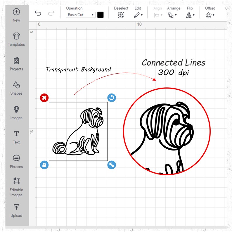May include: A black and white line art illustration of a dog's head in a circle. The text "Connected Lines 300 dpi" is written above the circle.