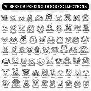 Puede incluir: Ilustraci&oacute;n en blanco y negro de 70 razas de perros asom&aacute;ndose por encima de una l&iacute;nea. Las razas incluyen Bulldog Franc&eacute;s, Golden Retriever y Caniche. El texto dice "70 BREEDS PEEKING DOGS COLLECTIONS."