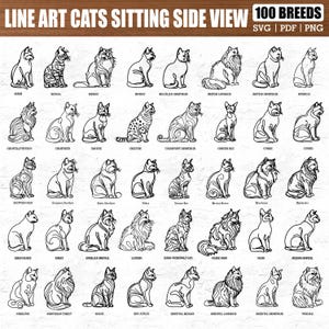 May include: A detailed line art illustration showcasing 100 cat breeds in profile. Each cat is depicted in a unique pose, with breed names clearly labelled. Ideal for craft projects, available in SVG, PDF, and PNG formats. A great resource for cat enthusiasts.