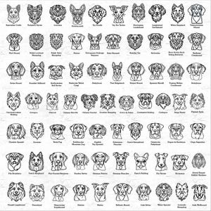 May include: Black and white line drawings of various dog breeds, including Australian Cattle Dog, Yorkshire Terrier, Lowchen, Chihuahua, Toy Poodle, Toy Fox Terrier, Norwegian Lundehund, Longhaired Dachshund, White Shepherd, Transylvanian Hound,  Plott Hound, Polish Lowland Sheepdog, Polish Tatra Sheepdog, Pointer, Portuguese Podengo Pequeno, Saint Bernard, Russian Toy, Rottweiler, Nova Scotia Duck Tolling Retriever, Coonhound, Swiss Hound, Swedish Vallhund, Staffordshire Bull Terrier, Pembroke Welsh Corgi,  Stolyhoun, Thai Ridgeback,  Vajour Hound, Spanish Mastiff, Treeing Walker Coonhound,  Bodylsuhon, Czechoslovakian Wolfdog,  Cavapoo, Chinook, Chinese Shar-Pei, Chinese Crested, Croatian Sheepdog,  Coton de Tulear, Continental Bulldog, Cockapoo, Dingo, Finnish Spitz, Clumber Spaniel,  Eurasier,  Fawn Pug, Entlebucher Mountain Dog, English Toy Spaniel, Doberman Pinscher, Dutch Smoushond, Drentsche Patrijshond, Dogue de Bordeaux, Dogo Argentino,  Fila Brasileiro, Dutch Shepherd, Flat-Coated Retriever, Gordon Setter, German Pointer, German Pinscher, French Bulldog,  Fox Terrier, Formosan, Grand Basset Griffon Vend&eacute;en,  Finnish Lapphund, Greenland, Hanoverian Scenthound,  Norwich,  Newfoundland,  Hellenic Hound, Irish Water Spaniel, Icelandic Sheepdog, Irish Wolfhound.