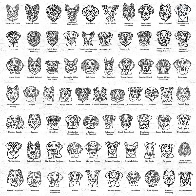 May include: Black and white line drawings of various dog breeds, including Australian Cattle Dog, Yorkshire Terrier, Lowchen, Chihuahua, Toy Poodle, Toy Fox Terrier, Norwegian Lundehund, Longhaired Dachshund, White Shepherd, Transylvanian Hound,  Plott Hound, Polish Lowland Sheepdog, Polish Tatra Sheepdog, Pointer, Portuguese Podengo Pequeno, Saint Bernard, Russian Toy, Rottweiler, Nova Scotia Duck Tolling Retriever, Coonhound, Swiss Hound, Swedish Vallhund, Staffordshire Bull Terrier, Pembroke Welsh Corgi,  Stolyhoun, Thai Ridgeback,  Vajour Hound, Spanish Mastiff, Treeing Walker Coonhound,  Bodylsuhon, Czechoslovakian Wolfdog,  Cavapoo, Chinook, Chinese Shar-Pei, Chinese Crested, Croatian Sheepdog,  Coton de Tulear, Continental Bulldog, Cockapoo, Dingo, Finnish Spitz, Clumber Spaniel,  Eurasier,  Fawn Pug, Entlebucher Mountain Dog, English Toy Spaniel, Doberman Pinscher, Dutch Smoushond, Drentsche Patrijshond, Dogue de Bordeaux, Dogo Argentino,  Fila Brasileiro, Dutch Shepherd, Flat-Coated Retriever, Gordon Setter, German Pointer, German Pinscher, French Bulldog,  Fox Terrier, Formosan, Grand Basset Griffon Vend&eacute;en,  Finnish Lapphund, Greenland, Hanoverian Scenthound,  Norwich,  Newfoundland,  Hellenic Hound, Irish Water Spaniel, Icelandic Sheepdog, Irish Wolfhound.