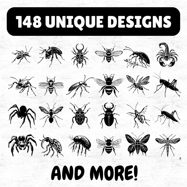 148 Rainforest Insect SVG DXF PDF Png Bundle for Cricut Crafts, Jungle ...