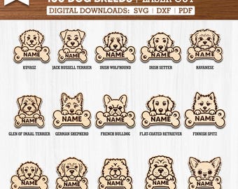Pacote com 100 arquivos SVG, PDF e DXF para personalizar nomes de cachorros | Arquivos para corte a laser | Arquivos de corte gravados para Glowforge | Download digital, Xtool
