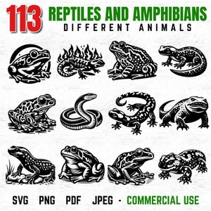 Op de afbeelding: Zwart-wit illustraties van reptielen en amfibieën, waaronder kikkers en een slang. De afbeelding bevat de tekst "113 Reptiles and Amphibians Different Animals" en bestandstype opties: SVG, PNG, PDF, JPEG - COMMERCIAL USE.