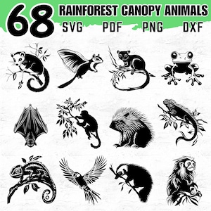 Puede incluir: Una colección de 12 ilustraciones en blanco y negro de animales de la selva tropical. La imagen incluye una zarigüeya, una ardilla voladora, una rana, un murciélago, un mono, un puercoespín, una iguana, un camaleón, un pájaro y otros animales. El texto dice "68 Rainforest Canopy Animals SVG PDF PNG DXF."