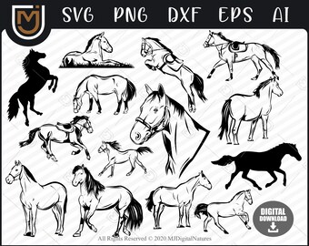 Bundle Horse SVG - Horse Clipart, Animal Svg, Horse Cut File, PNG, Vector for Horse Lovers