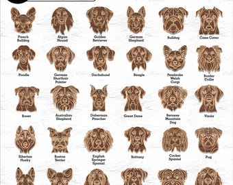 May include: Line art illustrations of 130 different dog breeds. Each breed is depicted in a simple, minimalist style with a brown background. The breeds include popular dogs like Golden Retriever, German Shepherd, Bulldog, Poodle, Beagle, Boxer, and many more.