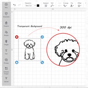 May include: A black and white line drawing of a dog's head, with a transparent background. The image is labeled "300 dpi".