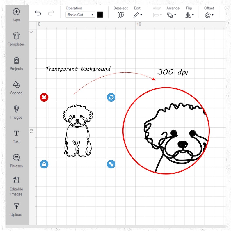 May include: A black and white line drawing of a dog's head, with a transparent background. The image is labeled "300 dpi".