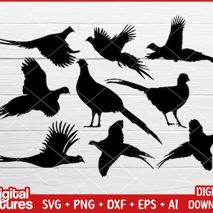 May include: A set of eight black silhouette images of pheasants in various poses. The pheasants are facing different directions and have their wings spread out.