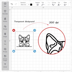 May include: A digital design interface displays a black and white cat graphic with the text "Transparent Background" and "300 dpi". The cat illustration is in a square frame, with a close-up of the ear in a red circle.