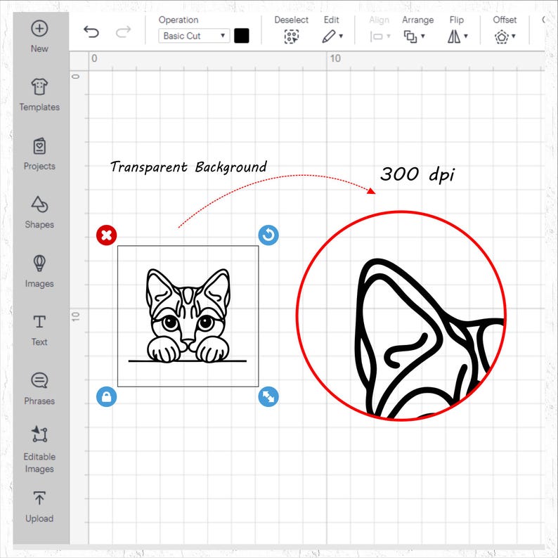 May include: A digital design interface displays a black and white cat graphic with the text "Transparent Background" and "300 dpi". The cat illustration is in a square frame, with a close-up of the ear in a red circle.