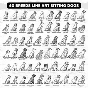 May include: A black and white line art illustration of 60 different dog breeds sitting. The dogs are arranged in rows and are all facing forward. The image is titled "60 Breeds Line Art Sitting Dogs".