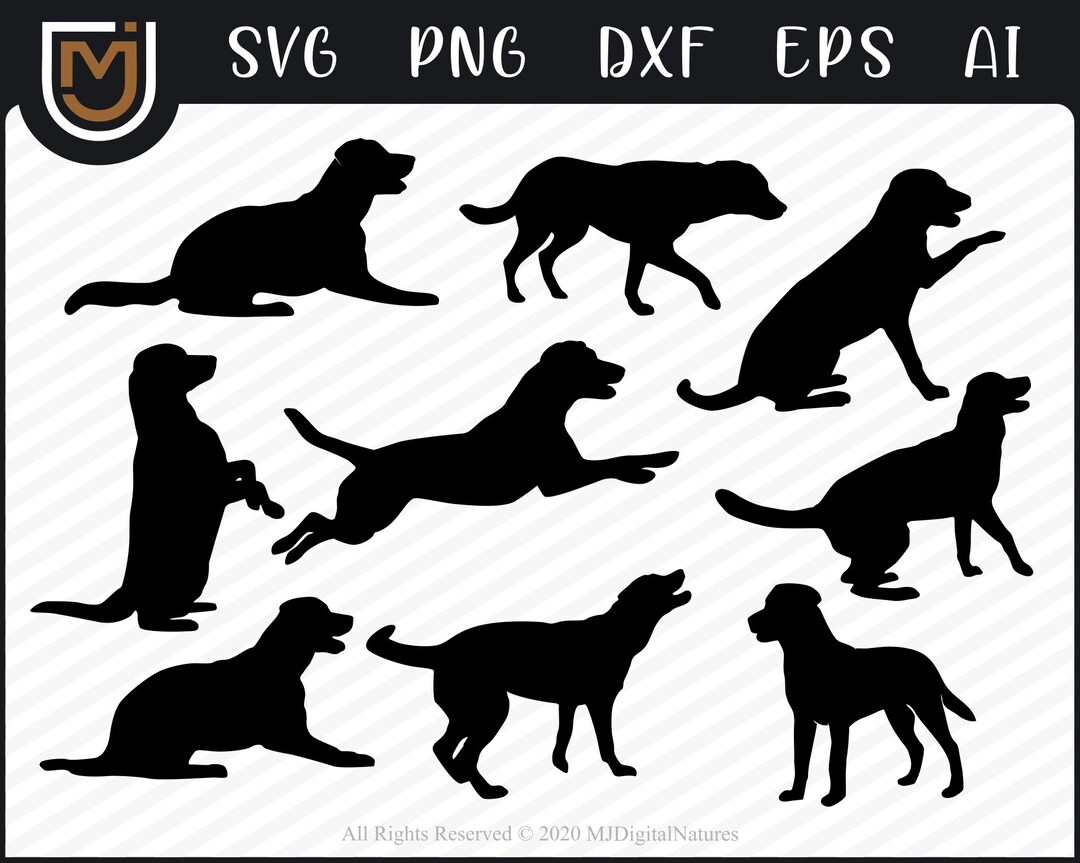 Bundle Labrador Retriever SVG - Labrador Clipart, Dog Clipart, Dog Cut ...