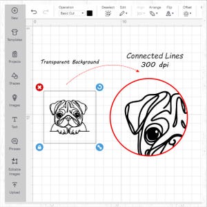 Puede incluir: Una interfaz de dise&ntilde;o digital muestra una ilustraci&oacute;n de pug en blanco y negro con el texto "Transparent Background" y "Connected Lines 300 dpi". El pug est&aacute; en un cuadrado y un c&iacute;rculo.