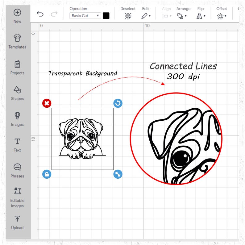 Puede incluir: Una interfaz de dise&ntilde;o digital muestra una ilustraci&oacute;n de pug en blanco y negro con el texto "Transparent Background" y "Connected Lines 300 dpi". El pug est&aacute; en un cuadrado y un c&iacute;rculo.