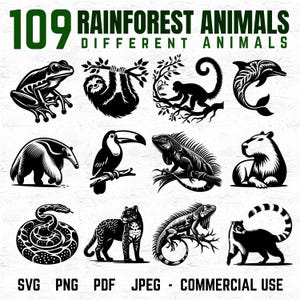 Puede incluir: Ilustraciones en blanco y negro de animales de la selva tropical, como una rana, un perezoso, un mono y un jaguar. El texto dice "109 Animales de la Selva Tropical Diferentes Animales". Incluye SVG, PNG, PDF, JPEG y uso comercial.