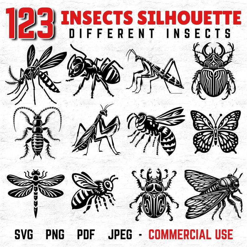 Insect Dxf 123 Insect Silhouette Svg DXF PNG PDF Bundle for Cricut, Sublimation ...