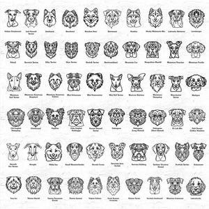 May include: Black and white line drawings of various dog breeds, including the Jack Russell Terrier, the Golden Retriever, the Bulldog, the Poodle, and the Beagle. The drawings are arranged in a grid pattern on a white background.