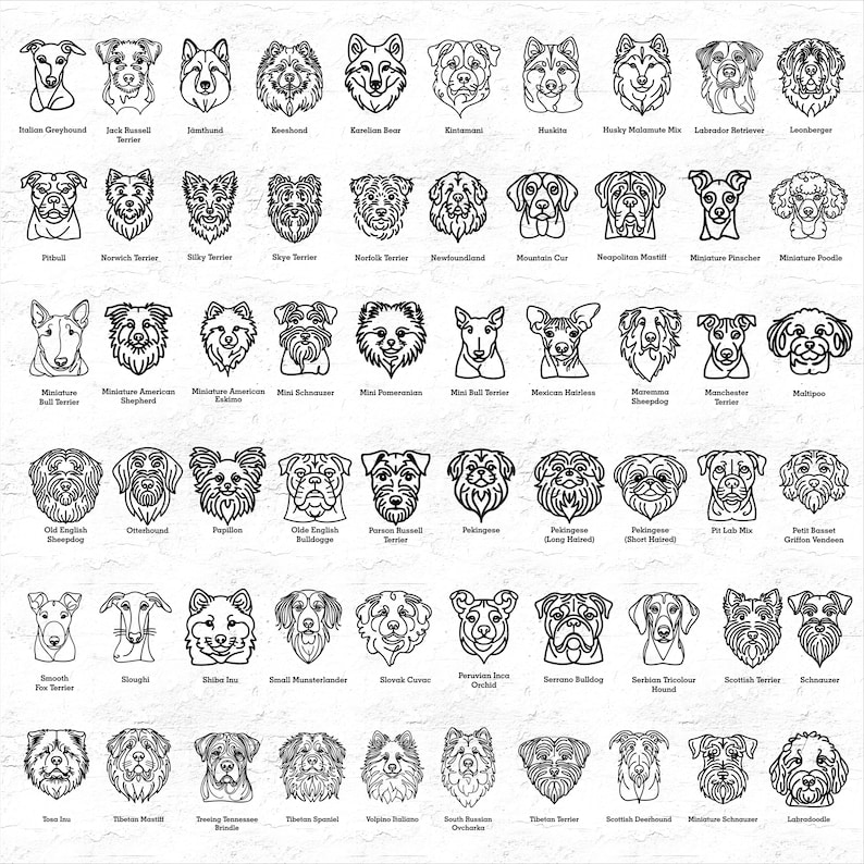 May include: Black and white line drawings of various dog breeds, including the Jack Russell Terrier, the Golden Retriever, the Bulldog, the Poodle, and the Beagle. The drawings are arranged in a grid pattern on a white background.