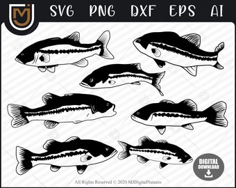 Bundle Bass Fishing Svg - Fisherman Svg, Fishing Clipart, Fish Clipart, Fish Svg for Fish Lovers