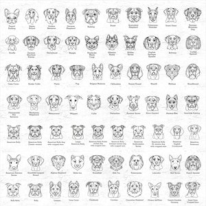 May include: A black and white line drawing chart of 50 different dog breeds. Each breed is labelled with its name.