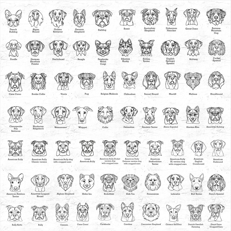 May include: A black and white line drawing chart of 50 different dog breeds. Each breed is labelled with its name.