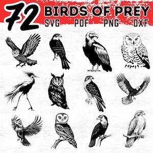 May include: Black and white illustrations of various birds of prey, including owls, hawks, and eagles. The image features the text "72 BIRDS OF PREY" in a bold, red and black design, with file type indicators: SVG, PDF, PNG, and DXF.