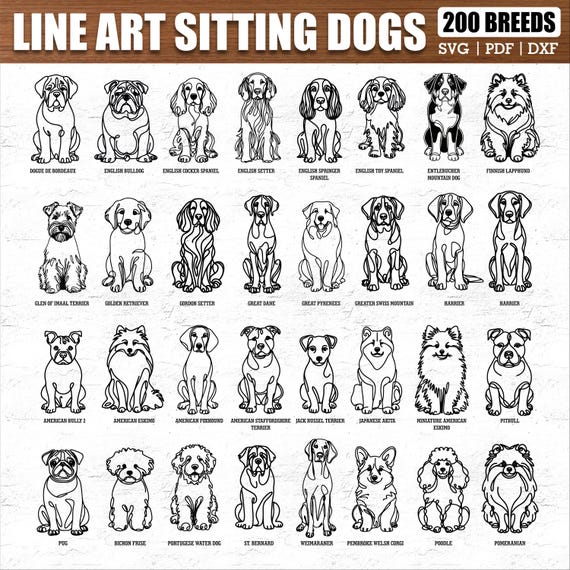 200 Breeds Sitting Dog Line Art SVG Bundle, Dog Cricut Files, Puppy Outline Clipart, Pet Lover Digital Cut File, Laser Cut Dog Sketch Art